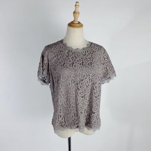 BASLER Lace Taupe Short Sleeve Dressy Top Womens Large